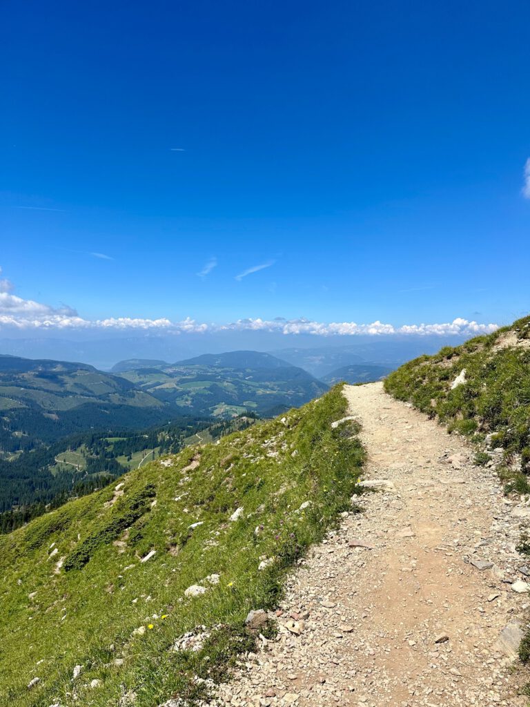 whatsapp image 2026 01 18 at 20.44.38